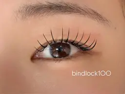 バインドロック120束オフなし