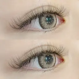 ボリュームラッシュ100束(約500本)