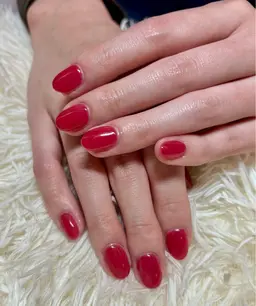 ワンカラー(オフあり)【パラジェル】