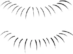 🌈下まつ毛🌸20本2990、40本3980、付け放題5500