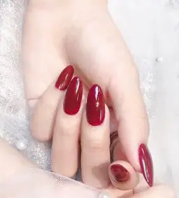 チップ長さだし10本、マグネット、ワンカラー　🌸6980¥🌸