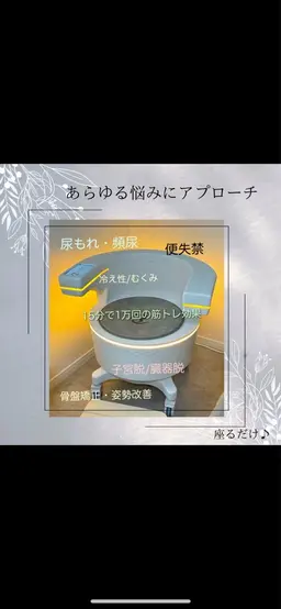 ビジリス(トレーニングチェア)+