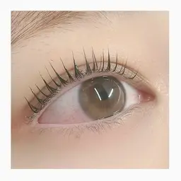 ご新規様💖パリジェンヌラッシュリフト