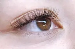 🌸フラットラッシュ【140本まで】LED変更別途1000円 ボリュームラッシュ変更可能