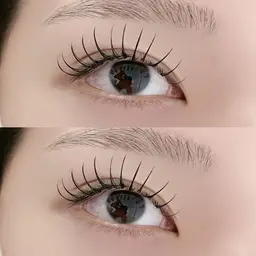 シングル130本（オフ有り）※毛質変更別途