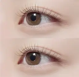 🌈✨カラーフラットラッシュ 100本/⚠️注意事項ご確認ください