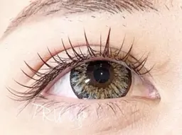 【練習モデル✨️】セーブルラッシュ 100本