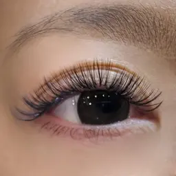 3D-5Dマツエク つけ放題