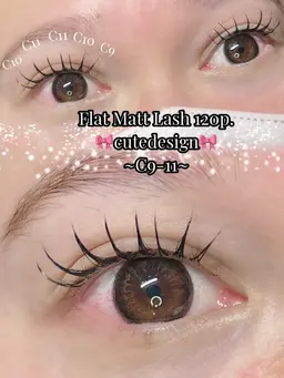 フラットラッシュ120本