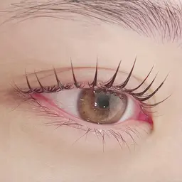 うる艶🪽ラッシュリフト上＋カールUPコーティング付