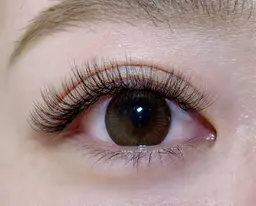 🍀minimo限定🍀ボリュームラッシュ120束【オフ込】