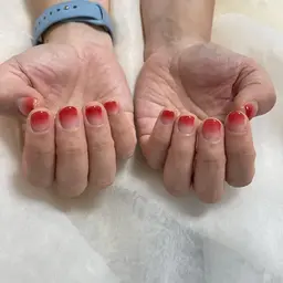 オフ有り🌸グラデーション(色味限られます)