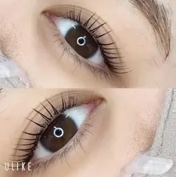 【minimo限定☆練習モデル】フラットマットラッシュ上下無制限(上下140本振り分け自由)