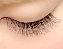 🔸平日限定🔸ボリュームラッシュ付け放題【オフ込み】