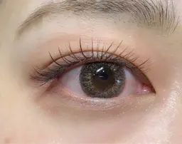 フラットマットラッシュカラー140本