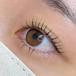 🌼次世代ラッシュリフト上下🌼