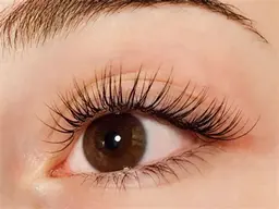 【無料】1/27（水）13：30​〜​【練習モデル✨新規orリペア】マツエク​〜​100本※注意事項を必ずお読み下さい。