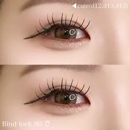 【U22】バインドロック80束