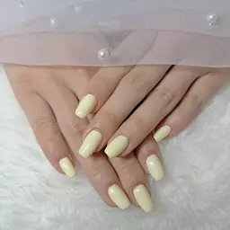 オフなしワンカラー