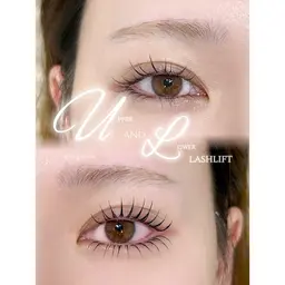 ラッシュリフト上下(コーティング剤付)