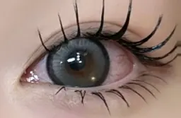 【練習モデル】下マツエク30本～40本 補足説明のご確認必ずお願い致します🎀