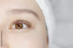 おめめぱっちり👀まつげパーマ🧸♡