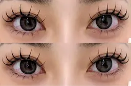 フラットラッシュ120本