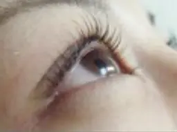 練習モデルメニュー！パリジェンヌラッシュリフトorまつ毛パーマ✨補足説明必読✨現金払いのみ