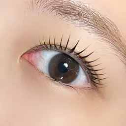 【平日ご新規様限定】極める漆黒まつ毛・ブラックティントパーマ（土日祝＋¥1000)