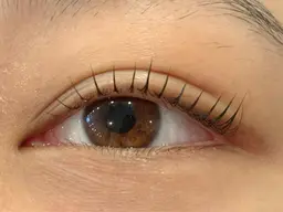 【全員/まつげケア✨】ビューラー式まつげパーマ＋栄養根元トリートメント＋美容液コーティング　2800円