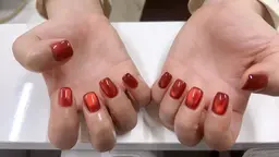 【オフあり】マグネットワンカラー