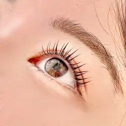 ☺︎ 特別価格 ☺︎ まつ毛パーマ(上) ¥3465