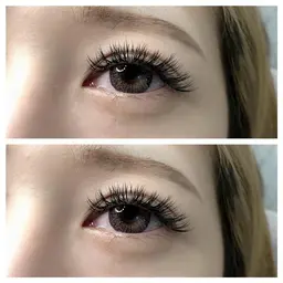 🎀バインドロック🎀80束