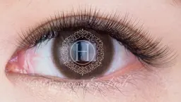 ・次世代ボリュームラッシュ✩.*˚6D 360本