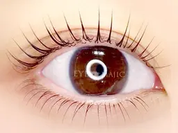 【エクステオフ無】上下パリジェンヌラッシュリフトor＜上下＞似合わせまつげパーマ