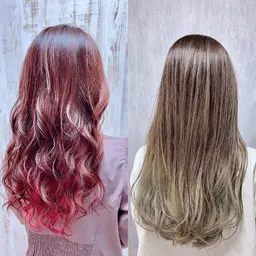 カット+ トリートメント