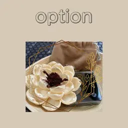 《追加オプション》ヘッドマッサージ