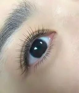 フッラトラッシュ120本🍀