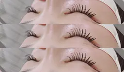 new💝Wフラットラッシュ　120本