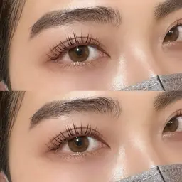 パリジェンヌラッシュリフト/ラッシュリフト🪡【注意事項必読】