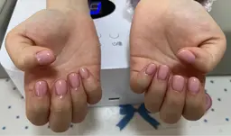 ハンド　ワンカラー/ラメグラデーション(オフなし)