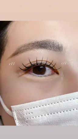 セーブル140本（オフ無料/付け足し不可）現金のみ