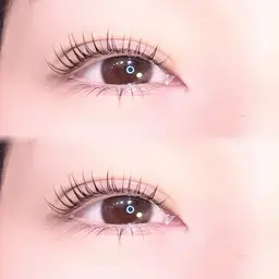 🕊️パリジェンヌラッシュリフト上下🎟️コーティング付⭐︎新規¥8100／再来¥8600