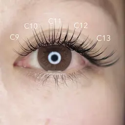 【人気💓No.2】オフ込みフラットマットラッシュ120本