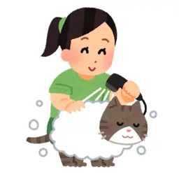 シャンプー＆ブロー