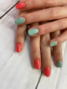 ワンカラー🩷（オフあり）