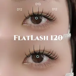 🐾15日まで🐾フラットラッシュ120本orバインドロック80束(再来+330円)