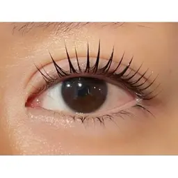 本日限定まつ毛パーマorパリジェンヌラッシュ