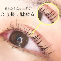 根本から立ち上げ＊ラッシュリフト