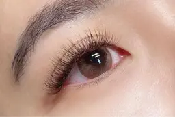 ボリュームラッシュ2D.3D (25束/25束) コーティング付き